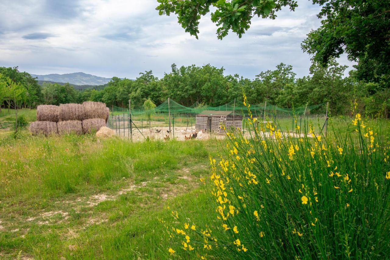 Casale Rancaglia Villa Gubbio Bagian luar foto